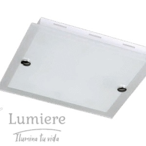 Ceiling Light B30