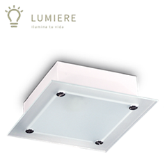 Ceiling Light A20