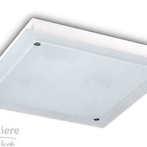 Ceiling Light A45